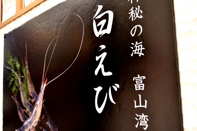 白えびと美味しいものを目指してきっときと富山へ<br />東海北陸自動車道を通って、ひるがの高原SAと城端PAで休息し富山駅前へ<br />白えび亭でご飯を食べ、海王丸パーク、雨晴海岸から潮風ギャラリーへ<br />氷見で宿泊<br />翌日は、氷見番屋街からなぎさドライブウェイへ<br />金沢で海鮮丼を食べ、白山ホワイトロードをドライブし<br />東海北陸自動車道を走行し帰宅<br />１泊２日のドライブでした