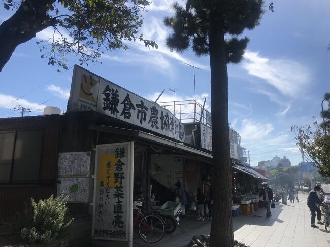 秋晴れの朝<br />お天気のいい日に行こうと決めていた鎌倉霊園<br />今日行こう<br /><br />前々社の創業者会長が鎌倉の地に眠る　<br />１０３歳まで長生きをされた<br />会長の人生一回だぞ<br />を口癖のように聞いて育った自分<br />なるほど、と<br />それ以来良く使わせて頂く言葉になった<br /><br />沢山の商いの考え方を教えて頂いた<br />自伝記本も出版した会長<br />勤続中は背中を押して頂き<br />多くのチャンスも頂きながら<br />励ましが嬉しかった<br /><br />今日は感謝と今の報告を<br />最高の天気の中<br />素晴らしい鎌倉霊園に<br />そんな昼前からの鎌倉編<br />