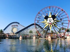 カリフォルニア　アメリカ　ディズニー　カチューシャ　観覧車　アナハイム　LA ロサンゼルスディズニーのカチューシャたち🤍 日本には無いもの