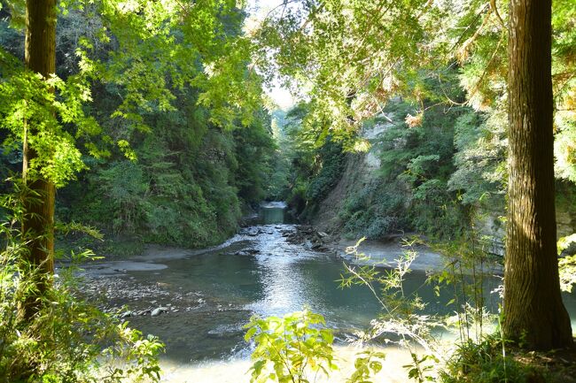 書き始めた旅行記がどれもこれも一向に完結しない者です。<br /><br />今回の旅は<br />「当日午前10時に行く事を決めてバタバタと出かけて行ったら<br />全然知らなかった千葉（養老渓谷）を発見＆大人の階段をのぼった旅」<br />となりました。