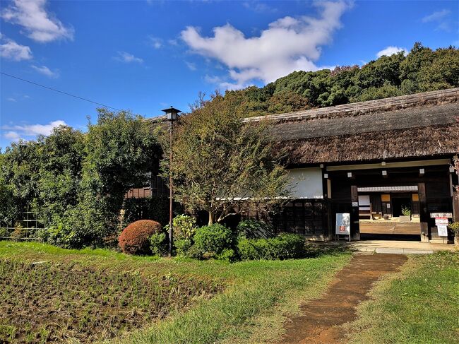 【衆院選】期日前投票のついでに周辺を散策！（地元ネタ）