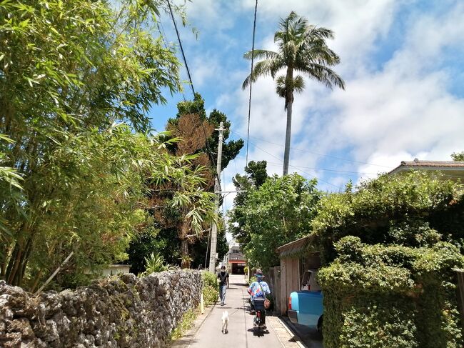 【島旅2021夏 15】あゝ去り難し石垣島②…お世話になった宿紹介&散歩中に出会った風景たち