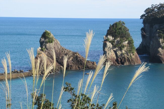 今回は和歌山県と三重県の旅、どちらも島に泊まって、二泊三日の少しゆっくり目のツアーでのんびり行きました。どうぞご覧ください。