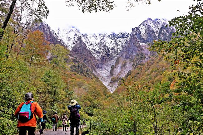 秋と言えば、紅葉。<br />今年は群馬県と新潟県の県境にターゲットを絞り、紅葉狩りをプランニングしてみました。<br />谷川連峰の平標山に登って紅葉を眺め、温泉に浸って、秋の幸を満喫できたら大満足！<br /><br />そんな風に考えハイキング計画を立てましたが、今年の秋は夏の終わりがだらだらと続き、10月も下旬に近いというのに山の木々の色づきもイマイチ。<br />更に、頼みの綱の天気までもが微妙と来れば、山歩きのテンションはだだ下がりです。<br /><br />それならばと、リベンジで一週間後に挑んだのは、前週に登った平標山のご近所の山である谷川岳。<br />今年の秋はその訪れが遅いはず･･･だったのに、この7日間で一気に冬が到来してしまい、一週間後に訪れた谷川岳はいきなりの雪化粧。<br />魔の山との異名を持つ谷川岳のトレイルは雪で覆われ、溶けかけた雪が覆った地面はぐちゃぐちゃで、登山靴も内側まで浸水し目も当てられない状況に。<br /><br />雨に降られてずぶ濡れとなり、溶けた雪で足指が霜焼けになりかけたりと、踏んだり・蹴ったりの10月の紅葉狩りでしたが、そんな山でも愉しんでしまうのが私たち。<br />谷川連峰を約40kmハイキングし、温泉でくつろぎ、美味しいスイーツを食し、雪化粧と紅葉の鮮やかなコントラストを愉しんできました。<br />