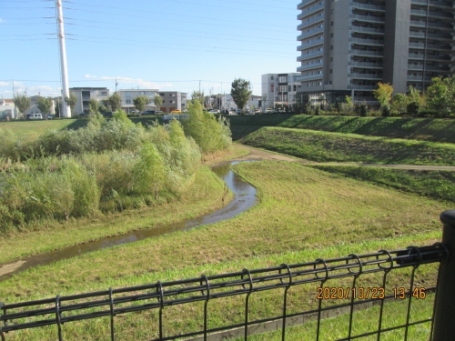 流山市のおおたかの森南・市野谷水鳥の池・調整池・入場禁止