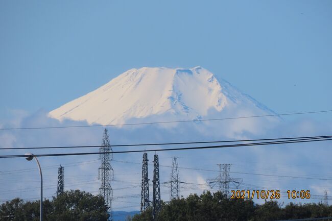 10月26日、午前10時頃にふじみ野市から美しい真っ白な富士山が見られました。　昨日の雨で真っ白に化粧した富士山が美しかったです。<br /><br /><br /><br /><br />*美しかった富士山