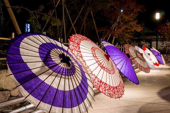 今年、第一回目となる和傘アートが須賀川市の「風流のはじめ館前・等躬の庭」にて10/23～10/31に開催されています。ライトアップは17時から21時、最終日は20時まで。<br />ライトアップ前に到着したので、点灯前の和傘、山野草を撮影したりして、等躬の庭をグルグルグル。<br />17時にライトアップが始まってからは、どんな風に撮ろうかと・・・。<br />ライトアップは私にとって、三脚必須で最初は人もまばらだったのですが、その内、三脚の人も増え、人数も増え始めました。<br />帰宅時間も気になったので、退散。<br />日本独特の和傘、素敵でした。<br />