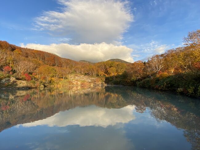 青森旅4日目10月19日(火)：見とれてしまった地獄沼、酸ヶ湯温泉千人風呂。<br /><br />黒石・弘前・大鰐・五所川原・金木・八甲田・十和田湖・奥入瀬と巡ってきましたが、８泊９日の青森旅も半分が終わろうとしています。後半は青森・大間・尻屋崎・むつ・恐山・六ヶ所村・十和田・三沢・八戸を巡ります。