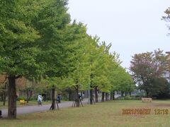 小雨の中、福岡中央公園を訪問しました