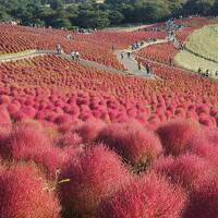 2021年10月　紅葉コキアを見に水戸１泊　夕暮れ時のひたちなか海浜公園、翌日は大洗でアクアワールドと明太パーク