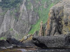 知床岬ヒグマボートクルーズによる知床半島と野生動物観察2021～羅臼昆布漁とともに～（北海道）