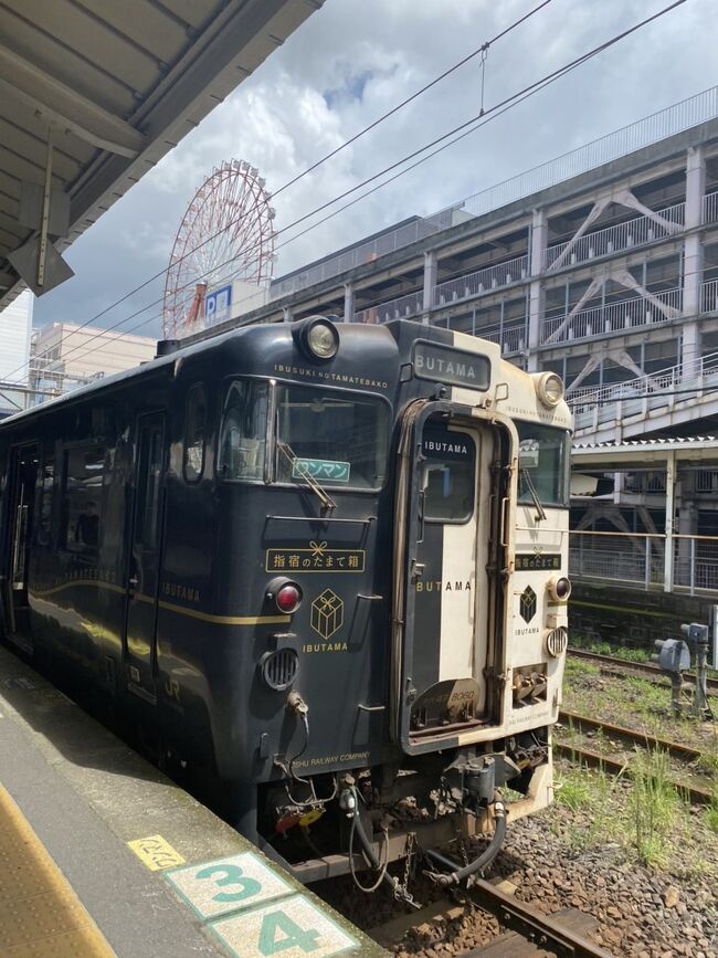 最後に指宿に移動して一泊して空港に戻ります!