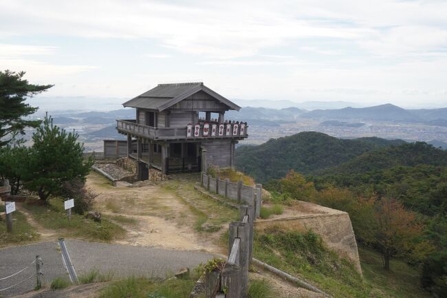 三日目は、岡山市の西側、総社市のエリア。鬼ノ城、吉備路風土記の丘やその近辺の巨大古墳群は、ここが古代の地方国家、吉備国の中心地だったことを強く思わせるもの。岡山県では絶対にはずせないエリアです。<br /><br />吉備国は、大和、筑紫、出雲と並ぶ古代日本の四大王国とも呼ばれますが、その力の源泉のひとつは製鉄技術。日本の鉄器文化は、当初は朝鮮から鉄素材を輸入しそれを加工するところから始まったのですが、古墳時代になると国内でも砂鉄を掘り出して製鉄を行うようになります。吉備国では新羅ほか朝鮮半島との交流の歴史もあり、こうした技術の習得が早かったようですね。また、後世のことですが、吉備国には砂鉄も多かったことで、長船の名刀の歴史も産んでいます。<br />一方で、記紀の世界でいうと、吉備国の祖は第7代孝霊天皇皇子。第10代崇神天皇の命を受けた四道将軍の1人で、西道に派遣された彦五十狭芹彦命とその弟、稚武彦命。いわるゆ吉備津彦命(きびつひこのみこと)。しかし、吉備国の統一以降は、その力が強大となるにしたがって、ヤマト政権から警戒され、第21代雄略天皇、第22代清寧天皇によって掣肘の憂き目にもあうことに。桃太郎伝説や温羅伝説は、吉備国を平らげた吉備津彦命とその敵、百済の王子で吉備へとやってきて一帯を支配した首領の争いからというのですが、他には、吉備津彦命の後の時代、ヤマト政権と吉備一族の争いからではないかという説もあって、これもなかなか捨てがたいような気もします。<br /><br />ただ、いずれにしても、吉備国がヤマト政権に警戒されるだけの力を持っていたことは、造山古墳(第4位、5C前半)、作山古墳(第9位、5C中頃)を見ても明らか。そして、それらの伝説や遺跡が古代日本史において謎の4世紀と言われるヤマト政権が成立した頃の時代に直結するかもしれないというのがまた何よりのロマンであり、吉備国を考える上での大きな魅力なんだと思います。<br />つまり、中国の三国時代、邪馬台国の卑弥呼が朝貢したと「魏志倭人伝」に記されたのが、238~247年。再び、南北朝時代の「東晋書」に倭の五王讃の朝貢が記されたのが413年。この間の約150年が空白、謎の4世紀。一方、広開土王碑に高句麗と倭が戦ったと記されたのが391年であり、これを事実とすれば、この時期までにヤマト政権が成立し勢力を拡大したのはほぼ間違いないんですね。ちなみに、四道将軍の派遣を命じた崇神天皇は、実在していれば3~4C頃の天皇といわれていて、吉備国が吉備津彦命の下に歩み始めるのはヤマト政権が成立してからそこまで遠くはない時代。吉備津彦命ほかその後のヤマトタケルも含めて天皇一族の活躍によってヤマト政権の力が次第に地方に及んでいく過程なのですが、それだけにとどまらずほどなくして朝鮮半島へも進出。その勢力拡大のスピードはかなり急速なものだと感じます。というのも、縄文時代の始まりは1万年前、弥生時代の始まりは紀元前10C頃から。弥生時代だけで考えても稲作が日本列島に徐々に広がってそれが紀元2~3Cまで続いたというスピードですから、これと比較するとヤマト政権が出現し、古墳時代が幕を開け、朝鮮への進出までの動きは、たった4C中のほんの一瞬の出来事。大爆発と言ってもいいくらいの衝撃だったかもしれません。<br /><br />ところで、雄略天皇は倭の五王の時代の最後。吉備氏の乱は463年で、これを鎮圧。武王の名前で南北朝時代の宋へ遣使し、478年、安東大将軍となり、既に朝鮮半島に足場を築いて積極的な外交戦略も展開していました。堂々たる倭の代表者としての動きですね。<br />そして、改めてですが、吉備国と関わりのある天皇、崇神天皇から雄略天皇の時代は大和朝廷が成立し急速に勢力を拡大し充実させる時代。吉備国の隆盛期もこれとほぼ重なっていることから、吉備国は基本的にはヤマト政権と連合または従属し、その勃興期を支えた地方国家という評価をされているようですが、国譲りの神話が残る出雲国や大きな反乱が起きた筑紫国と比較するとその評価も頷けるような気がします。<br /><br />では、この辺りを頭に置いての総社エリア。まずは、鬼ノ城からスタートです。<br /><br /><br /><br /><br /><br />