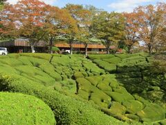 深まる秋を求めて県民の森へ！