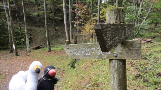 深まる秋を求めて、あひるつばさは県民の森に出かけてきました。<br /><br />この県民の森ですが、明治100年の記念事業として1969年（昭和44年）に開園しました。山にあることから、春には新緑。秋には紅葉が楽しめます。また、森の中には散策路もあるので、ちょっとしたトレッキング気分も満喫できます。訪れたのは10月下旬と若干紅葉も始まっていました。<br /><br />快晴の秋空。見上げると澄み切った青空から降り注ぐ太陽の光が心地よかったです。木の幹から上に向かって撮影していると、木のエネルギーも感じました。<br /><br />山を下りて行くと、ため池があります。途中には「クマ！注意！」の看板もありました。ここは、クマさんが出没するので注意が必要なのです。<br /><br />ちなみに、この県民の森への交通手段はかなり不便です。市営バスだとJR岩切駅行きに乗り、今市橋のバス停で下車。急な坂を上り徒歩30分かかります。また、宮城交通バスだと鶴が丘ニュータウン行きに乗り、県民の森鶴が丘口下車。そこから遊歩道を20分ほど歩くことなります。