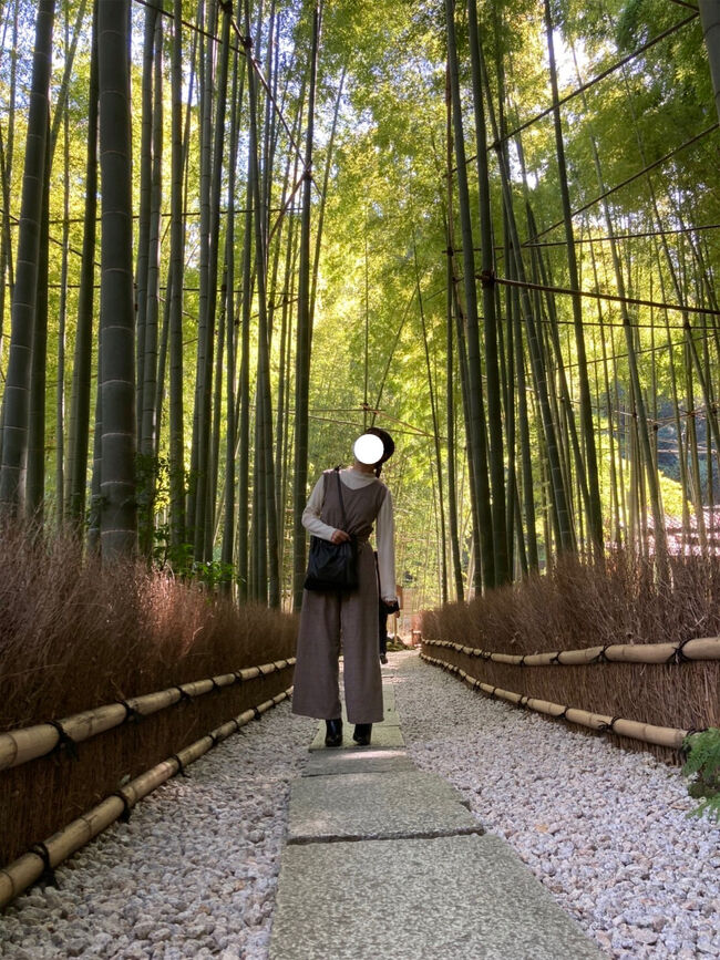 竹林を求めに報国寺に向かったはずが、何故か浄明寺に行ってしまい、、、そこで出会った和菓子がとても素敵でした。<br />念願の報告寺と、小町通にある美味しいわらび餅も食べてきました。<br />緊急事態宣言解除後の鎌倉がどんな感じかもさんこうになれば嬉しいです!