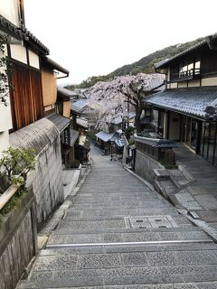 京都醍醐寺と熱田ひつまぶし