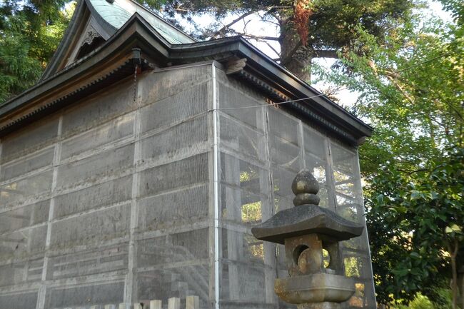 秋田の力士を見に行く26。(岩崎八幡神社)