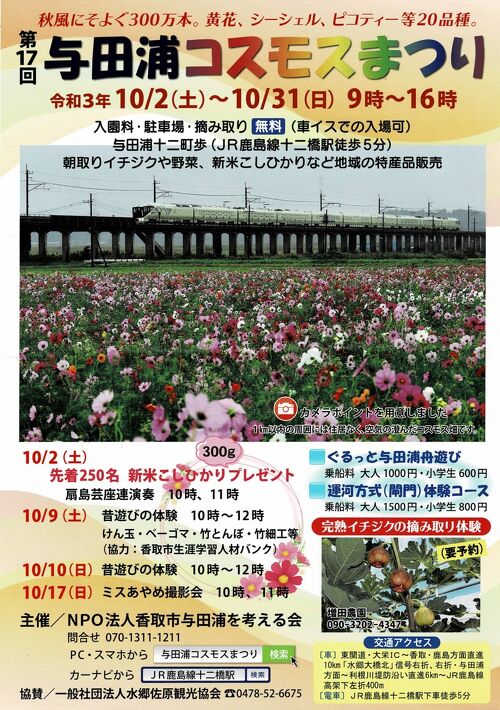 日本の小旅行:誕生日祝いも兼ねて、香取・与田浦コスモスまつりを訪ね