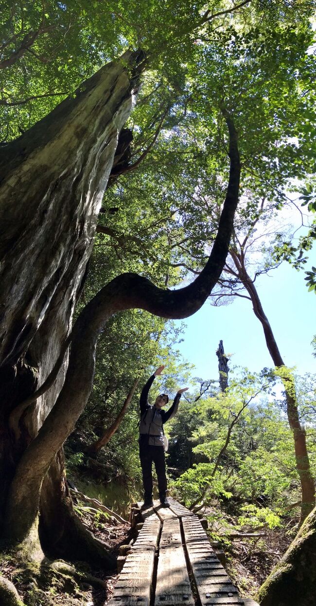 男二人旅 　2021年10月（次男10歳） 3泊４日屋久島旅行 2日目