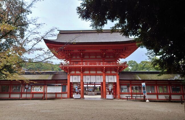 ■テーマ<br />1年分のお礼をこめて、お世話になった神々に会いに行く旅<br />(宗教的旅行記ではありません...^^;)<br />■1日目の目標! <br />①雨天の予報なので、無理せずゆっくり♪<br />②一の傳ランチを堪能♪<br />③下賀茂神社参拝<br />④お腹に余裕があれば...加茂みたらし茶屋の『みたらし団子』を食す♪<br />■天気・気温(ざっくり)<br />雨・15℃くらい<br />■服装<br />ロングTシャツ、コットンベスト、キャミワンピース、ブロックテックパーカ、レインブーツ、傘!<br />※注意※<br />暑いのも寒いのも大の苦手<br />■概要<br />今年初の新幹線!<br />コロナ禍になってからめっきり遠のいていた新幹線旅<br />宣言が解除された今がチャンス!なので急に予約したけれど<br />申し訳ないくらいに格安でびっくり(´・ω・ ;) <br />2泊3日で行きたい場所を詰め込んだ京都旅<br />気持ちはすっきりリフレッシュ♪ 代わりに体重増しまし(о´Д`о)アァ...<br />予定は全てこなせたのか!?<br /><br />>>続きは写真で<br /><br />----------------スケジュール----------------<br />★10:00-12:15 東京駅>京都駅<br />★12:20 ホテルに荷物を預ける<br /><br />【移動】電車:京都市営烏丸線(京都駅>四条駅)<br />★12:45 いづう大丸京都店<br /> >27日のお土産の予約<br /><br />【移動】徒歩(いづう大丸京都店>一の傳)<br />★13:00-14:25 一の傳<br /><br />【移動】徒歩(一の傳>三条駅)<br />【移動】電車:京阪本線(三条駅>出町柳駅)<br />★15:13-16:10 下賀茂神社&糺の森<br /><br />★16:17-16:30 加茂みたらし茶屋<br />★16:34-16:56 糺の森<br /><br />【移動】徒歩(糺の森>出町柳駅)<br />【移動】電車:京阪本線(出町柳駅>祇園四条駅)<br />【移動】徒歩( 祇園四条駅>ぽっちり)<br />★17:25-17:27 ぽっちり祇園本店<br /><br />【移動】徒歩(ぽっちり>いづ重)<br />★17:31-17:35 いづ重<br /><br />【移動】徒歩(いづ重>四条駅) <br />【移動】電車:京都市営烏丸線(四条駅>京都駅)<br />★18:20 ホテルcheck in
