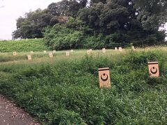 佐倉・四街道の旅行記
