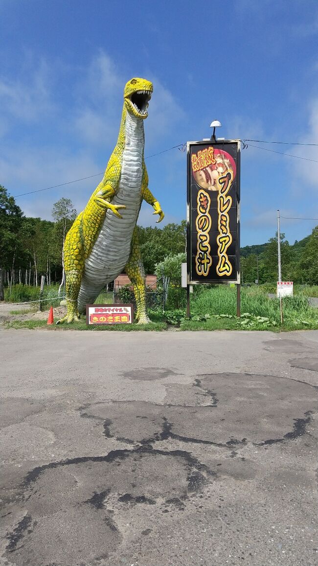 3日目は北湯沢温泉から千歳へと。<br />計画の時点では中山峠を越えて札幌に向かうつもりだったが、札幌でコロナの感染が拡がっていたため、コースを変更した。<br />おかげで距離も勾配も楽なコースになった。<br />今日のコースは観光地的な場所は少なく、食べ物関係で気になっていたところをいくつか回ってみた。<br />特に気になっていたのが、恵庭にある「山沢仕出し店」。名前の通り仕出し屋なのだが、自転車好きの聖地みたいになっていて一度は行かなくては思っていた場所だ。到着すると4人ほどお客さんがいて、皆自転車乗り。その後も自転車の人が来ていた。びびって写真を撮らなかったのが失敗だった。<br />「振り袖の唐揚げ」を買ってホテルでビールのつまみにしたが非常においしかった。