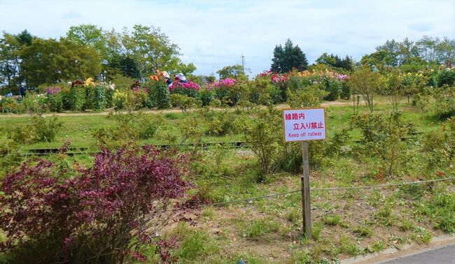 札幌の旅　その３　百合が原公園　前編