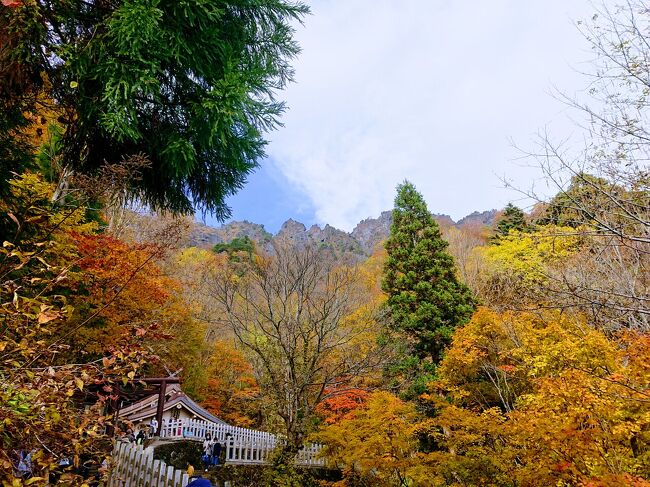 10月31日<br />長野市内から車で45分。<br />みんな大好き戸隠にまたまた行って来ました。<br />紅葉がピーク<br />戸隠そば祭り開幕ということで、かなりの人手で大にぎわいです。<br />そんな中、鏡池、戸隠神社奥社をめぐってきました。<br />今年4度目の戸隠です。