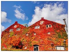 北海道・札幌一人旅(*´∀｀*)すじこおにぎりが美味しすぎた！