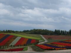 紅葉の始まった北海道　富良野・美瑛の旅　２泊３日　その５