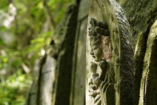 二十年余を経て訪れた山寺にて