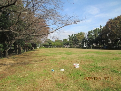 流山市の東初石他・高速自動車道上の公園