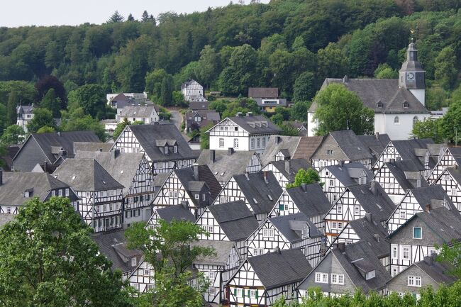 「通常のドイツツアーでは訪れることの少ない街へご案内」<br />この一言で、北ドイツのツアーに参加しました。<br />　１４回目は、フロイデンベルクです。<br />ここは観光地ではないのですが、ＳＮＳの写真で突如、世に知られる町になりました。<br />ツアーでは「グレーの屋根に白い壁のコントラストが美しい街」と紹介されています。<br />城壁も大聖堂も市庁舎もない、小さな小さな町です。<br />ガイドブックにはもちろん載っておらず、地図でも探すのがたいへんでした。<br />その町の一部にだけ、同じ造りの家が密集しています。<br />それがモノトーンで統一されているので、見ると思わず「おお！」と<br />言いたくなるのです。<br />この小さな町が、今回のツアーの新しい目玉でした。<br />観光地ではないので、街並みを見るだけです。まずは町を見下ろすことの出来る<br />クアパークの丘に登り、それから三々五々、町の中を歩きます。<br />するとドイツ特有の木組みの家の魅力が、ぐぐっと引き立って、<br />どの街角も魅力的なことがわかりました。<br />土産物店も有名レストランもない静かな町の散策を楽しんで来ました。<br />その後、ケルンでちょっと鉄道ウォッチをして散策したら、空港に向かいます。<br />今回で、最終回になります。