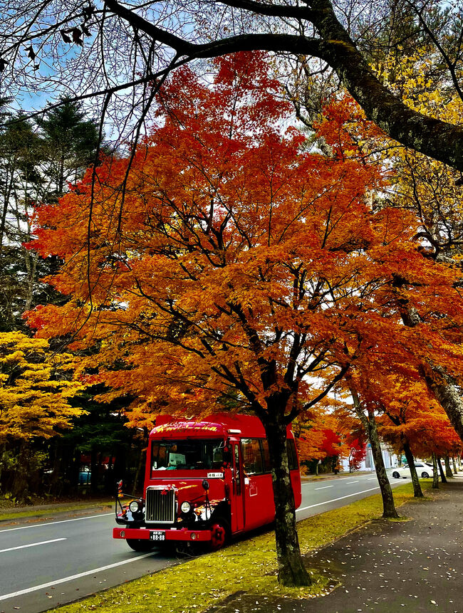 2021年の紅葉は、じっくり美しく色づいた&#127809;&#127809;