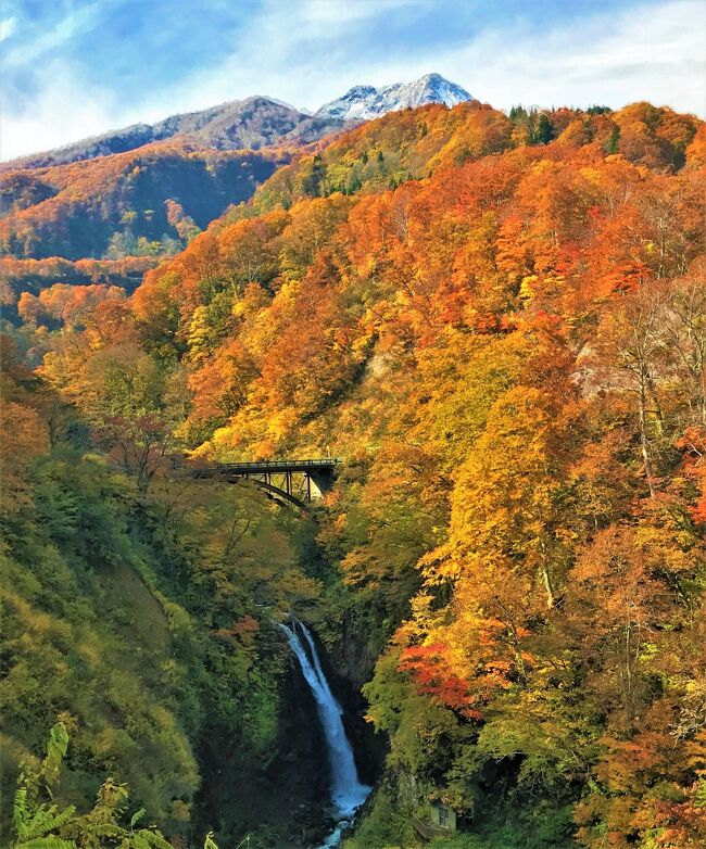 裏切りはゴージャスに/錦輝く 関・燕温泉 秘境の紅葉谷【妙高・戸隠・奥志賀ドライブ-1】