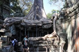 2014年カンボジア旅行記　第4回　タ・プローム遺跡を見学