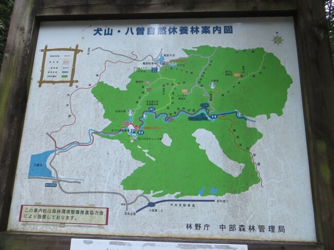 久しぶりに山登りがしたくなり出かけました。<br />一泊ぐらいはしたかったのですが、日程が合わず日帰りとなりました。<br />遠くには行けないので、近所の黒平、岩見山にに行ってきました。<br />近所なので、登山口の八曽モミの木キャンプ場までは、ママチャリで出かけました。<br />当日は登山道付近にあるヘリポートで、警察が何かの訓練をしていました。(車があるだけで警察官はいなく、ヘリも飛んでいませんでした。)<br />近所にも割と楽しめる山があることを再認識しました。これからも足慣らしを兼ねてちょくちょく出かけたいと思います。<br /><br />動画も作りましたので興味のある方はご覧ください。https://youtu.be/BKWVQyAjyPY