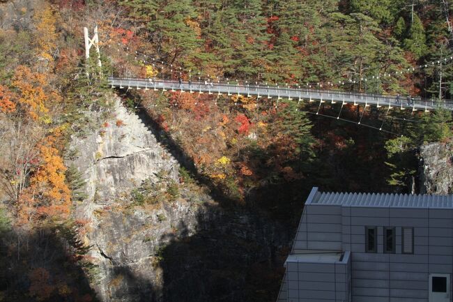栃木県日光市川俣ダムに「瀬戸合峡遊歩道」というダム見学と共に、紅葉を見ながら散策できる場所がある。<br />ダムの下部に吊り橋があり、山道を下って上ってやっと辿り着ける場所である。吊り橋の下は（約100ｍ）バンジージャンプに最適と思うが施設は無い。階段は約４６０段（説明版より）<br />紅葉はここ数日で終わるかも知れない。急いで行こう！！