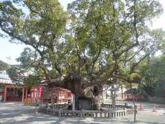 有明海と筑後川が出逢う町・大川　～風浪宮と筑後川昇開橋～