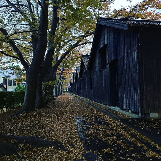 東京駅に一泊したあと、山形酒田、鶴岡にでかけました。<br />お天気を気にしながらの旅になりましたが、降られることなく、絶景を満喫できました。秋の山形旅行の参考になればと思います。東京駅から鳥海山、酒田市内、後半は鶴岡です。<br /><br />　