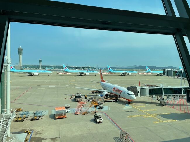 ニューヨークからソウル経由で福岡に戻りました。<br />長崎から海外旅行だと、福岡まで車で行って、帰りは自家用車で帰るということをしないと、帰国後の2週間待機が家で過ごせません。<br />せめて成田から福岡と札幌位は国際線から乗り継ぎ便を出して、福岡や千歳で入国審査を受けられるようにして欲しい所です。