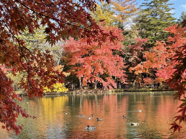 紅葉の軽井沢、駆け抜けて草津へ