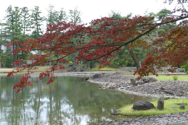 CRESSONで行く～２０２１年秋 東北地方西側(日本海側）めぐり⑦　盛岡冷麺・小岩井農場・中尊寺・毛越寺