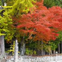 関空から高野山へ　1日目。紅葉の高野山でした。