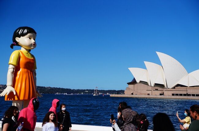 ロックダウン解除でシドニーは賑やかに コロナの次はイカが拡散中 (Lockdown easing in Sydney)