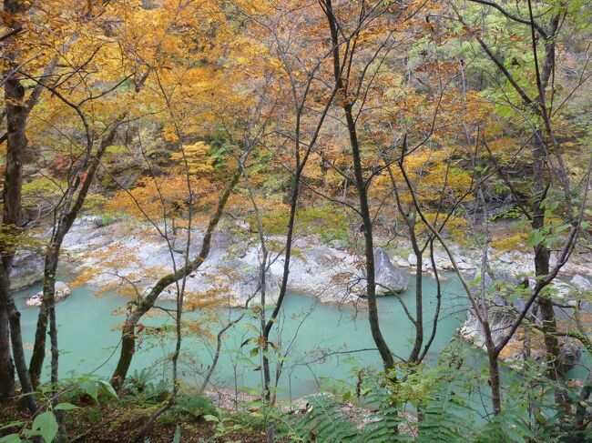 角館の枝垂れ桜はみれなかったので、紅葉を見ようと夏頃から計画していました。一番いい時期を予想してホテルを3日間予約。予想が当たってよかった。一日中紅葉の中で過ごせて、その美しさにため息の出る日々でした。ガイドさんに江戸時代のころのお話を聞き、先人の知恵や苦労、生活様式にも感動しました。<br /><br />まずは一日目。秋田空港から抱き返り渓谷を楽しんで、角館に向かいました。