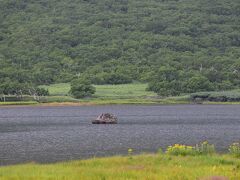 知床の自然が残る羅臼湖2021夏～4つの沼と高山植物、山野草との出会い～（北海道）