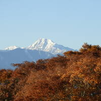 ２０２１年１１月 山梨・諏訪湖・寸又峡 その１ 山梨