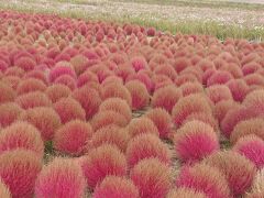 茨城県　ひたちなか～大洗の旅！　鷗松亭 